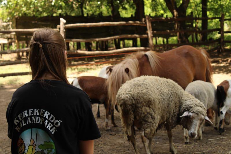 Állatok a kalandparkban